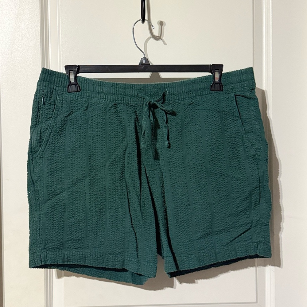 Abercrombie & Fitch Green Flat Front Men Shorts